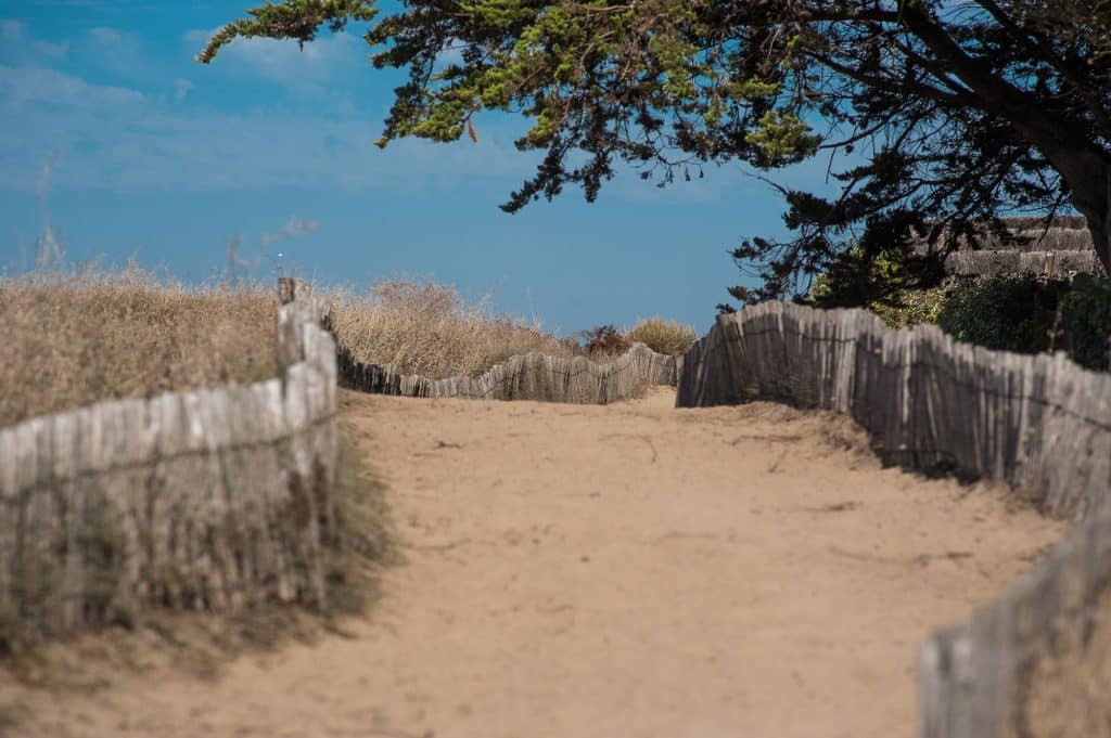 sentier vers la plage à saint michel chef chef