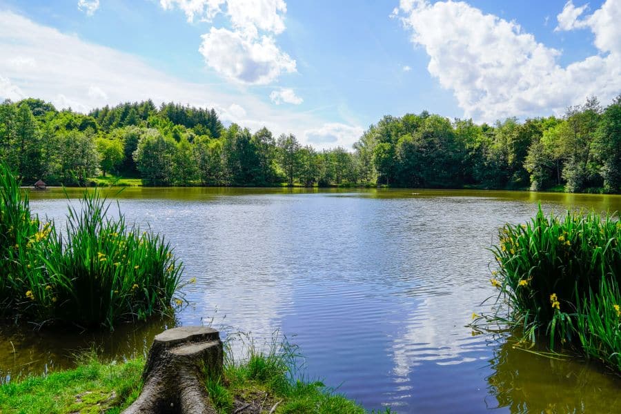 etang des gatineaux saint michel chef chef